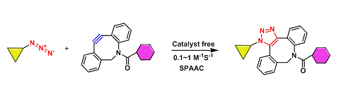 Dibenzocyclooctyne （DBCO）